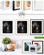 Wall Art Print Canvas Paper | Floume