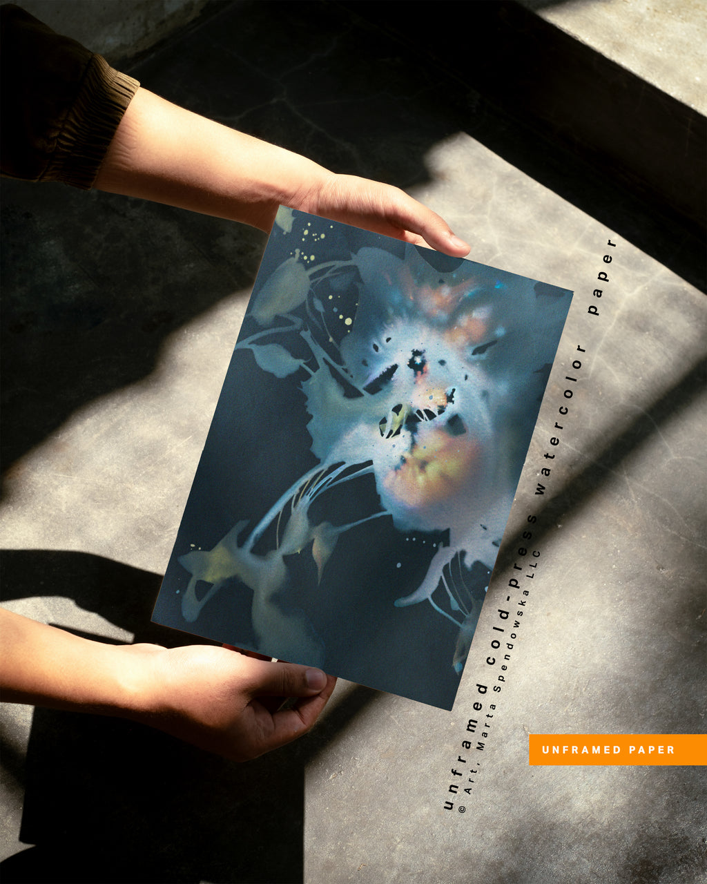 Wall Art Print Canvas Paper  | Noah