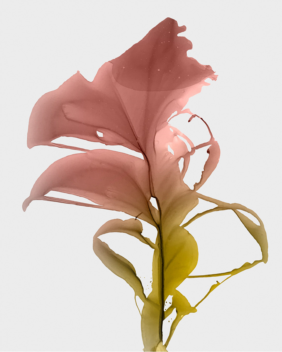 Art Print | Bloom 8-botanical-plant-watercolor-painting-abstract-bloomlands-marta-spendowska-verymarta