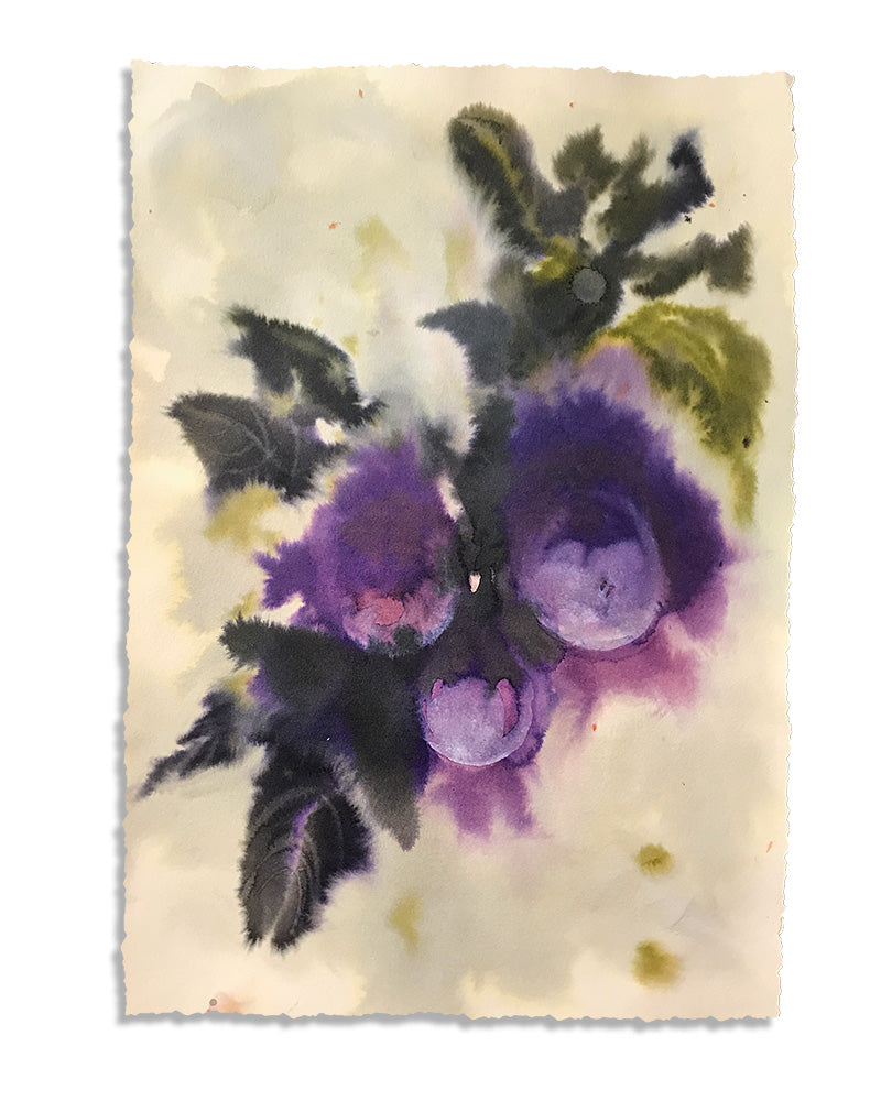 abstract-botanical-watercolor-painting-flower-art-marta-spendowska-verymarta-Painting in watercolor | Plums