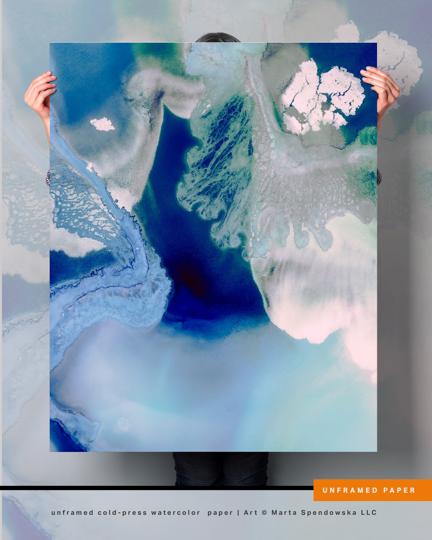 Wall Art Print Canvas Paper  | Vulka