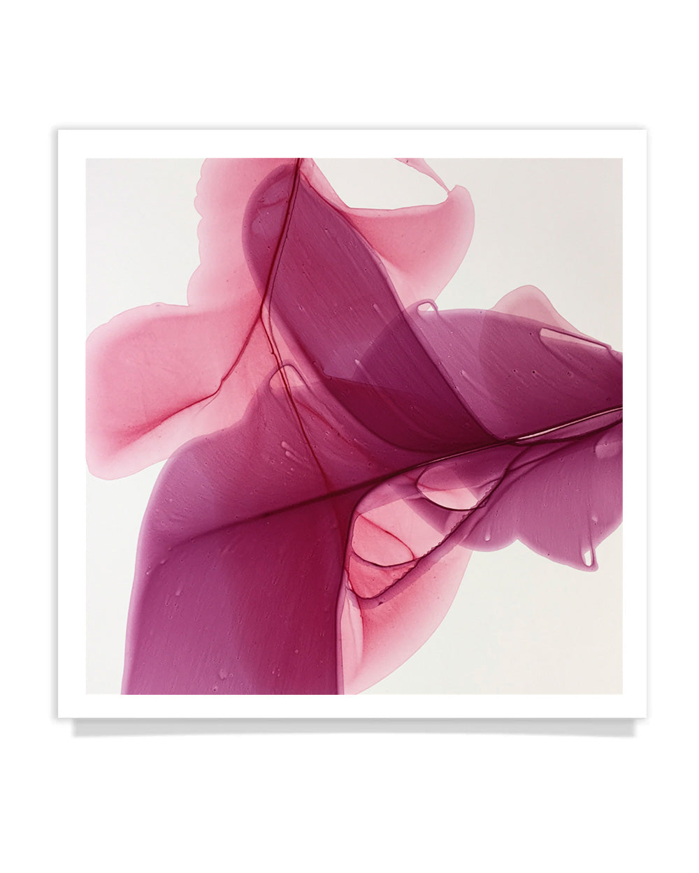 Botanical watercolor large canvas and paper wall art prints, ready to hang floral artwork Abstract Botanical Watercolor Art Print | Burgë by Marta Spendowska