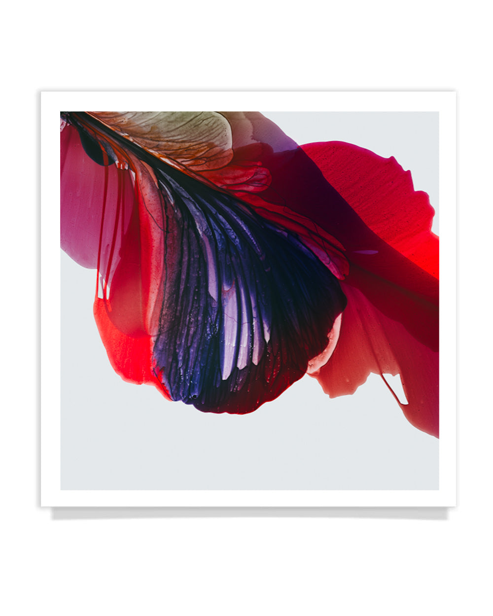 Botanical watercolor large canvas and paper wall art prints, ready to hang floral artwork Abstract Botanical Watercolor Art Print | Poska by Marta Spendowska