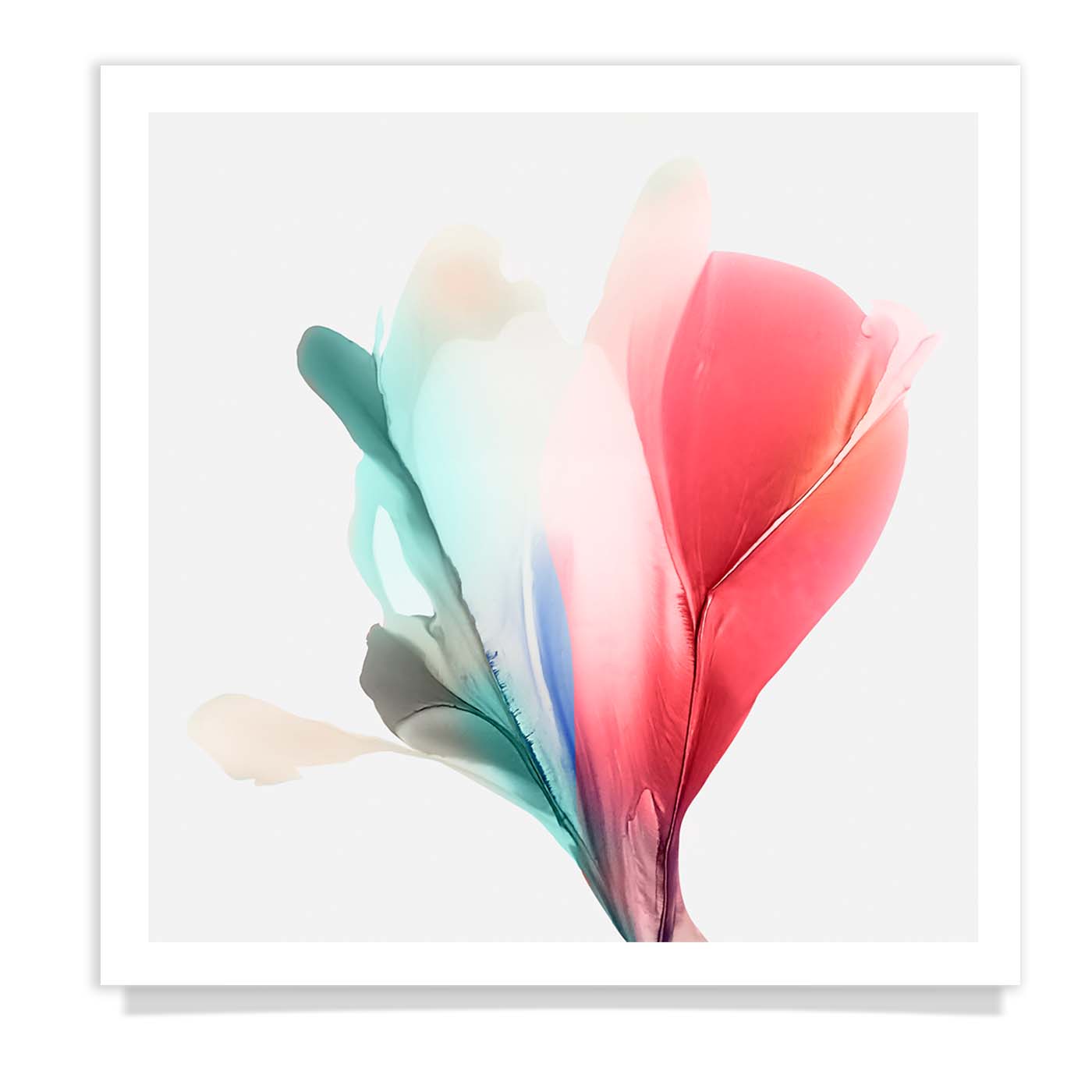 Botanical watercolor large canvas and paper wall art prints, ready to hang floral artwork Abstract Botanical Watercolor Art Print | Bloom 4 by Marta Spendowska