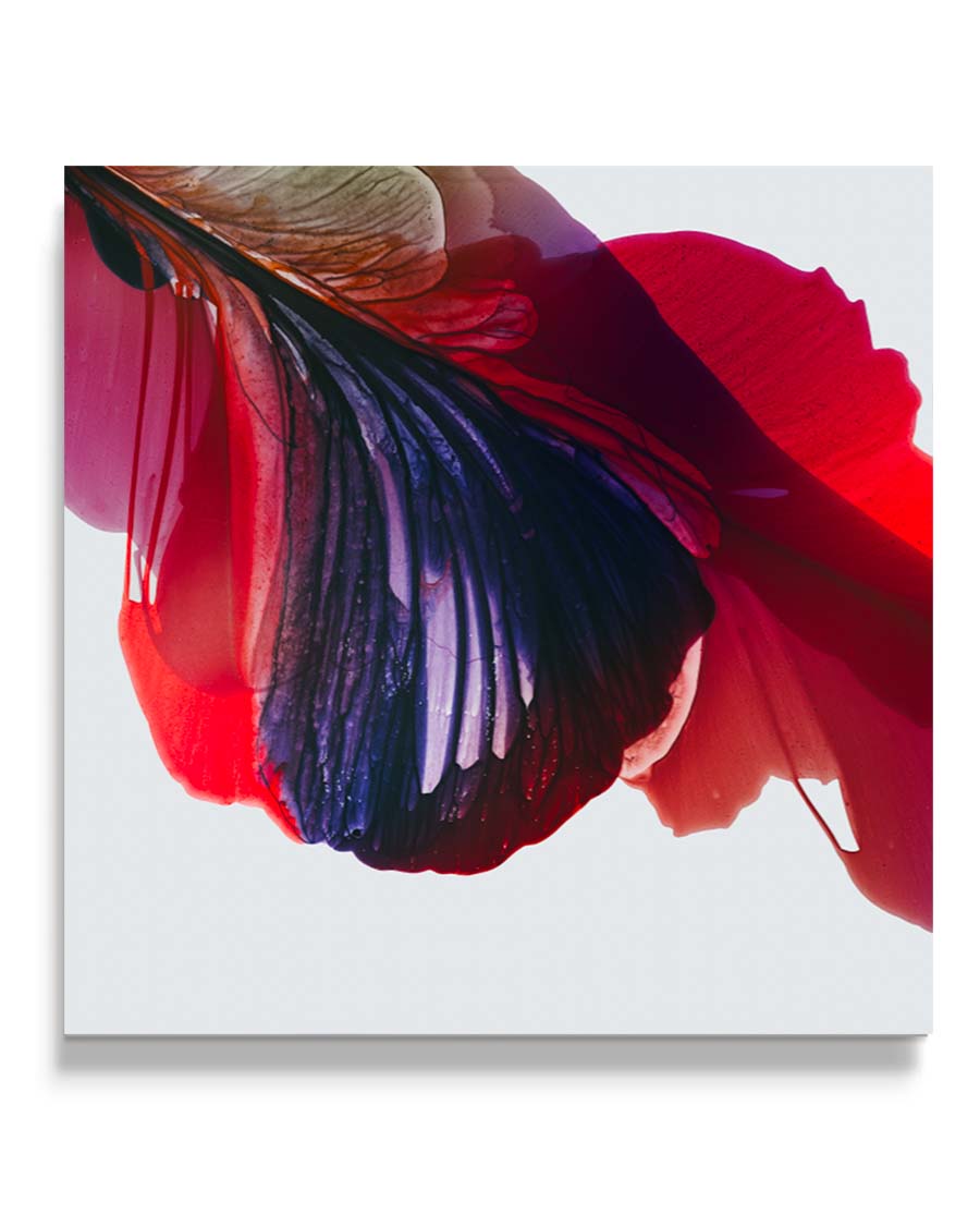 Botanical watercolor large canvas and paper wall art prints, ready to hang floral artwork Abstract Botanical Watercolor Art Print | Poska by Marta Spendowska