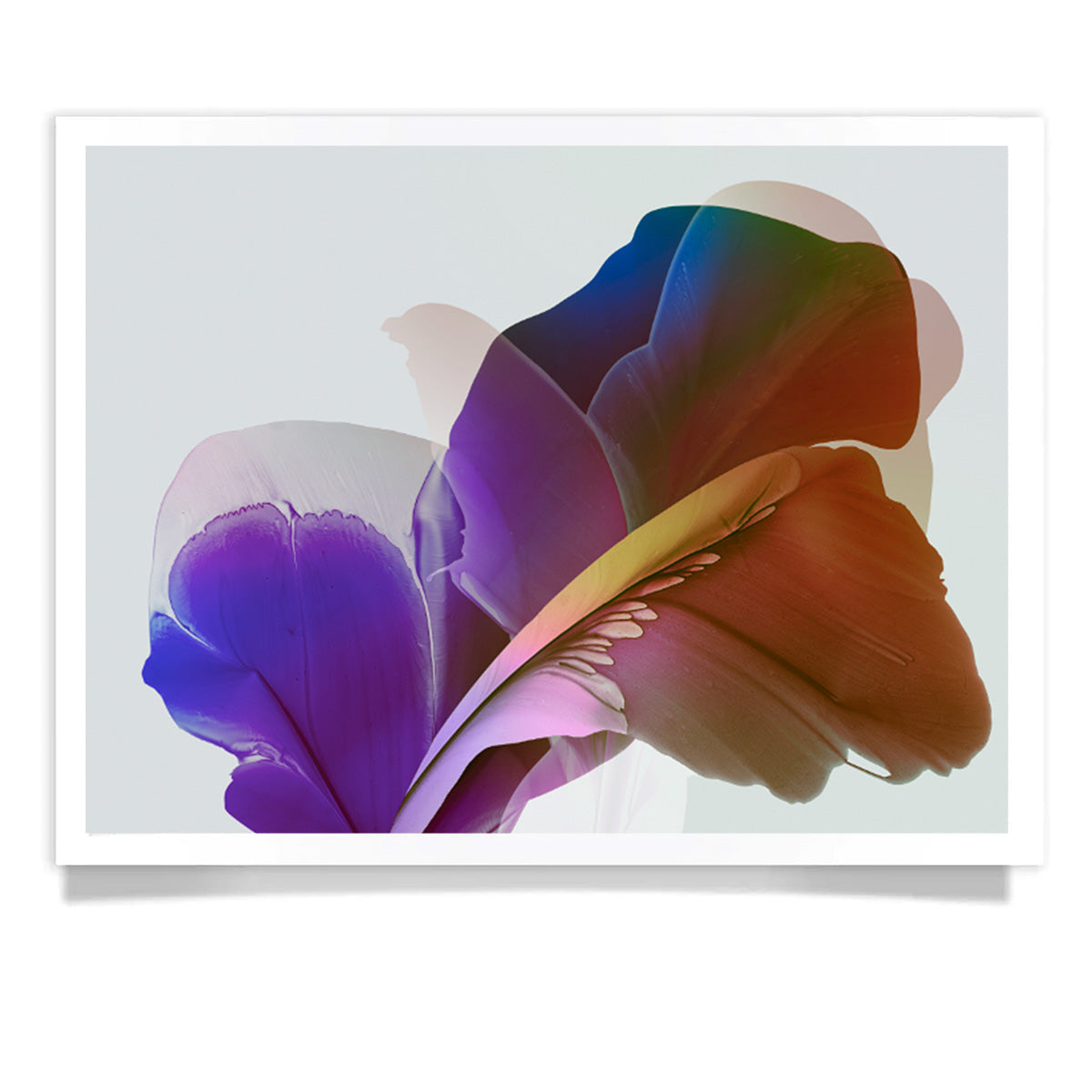 Botanical watercolor large canvas and paper wall art prints, ready to hang floral artwork Abstract Botanical Watercolor Art Print | Eyët by Marta Spendowska