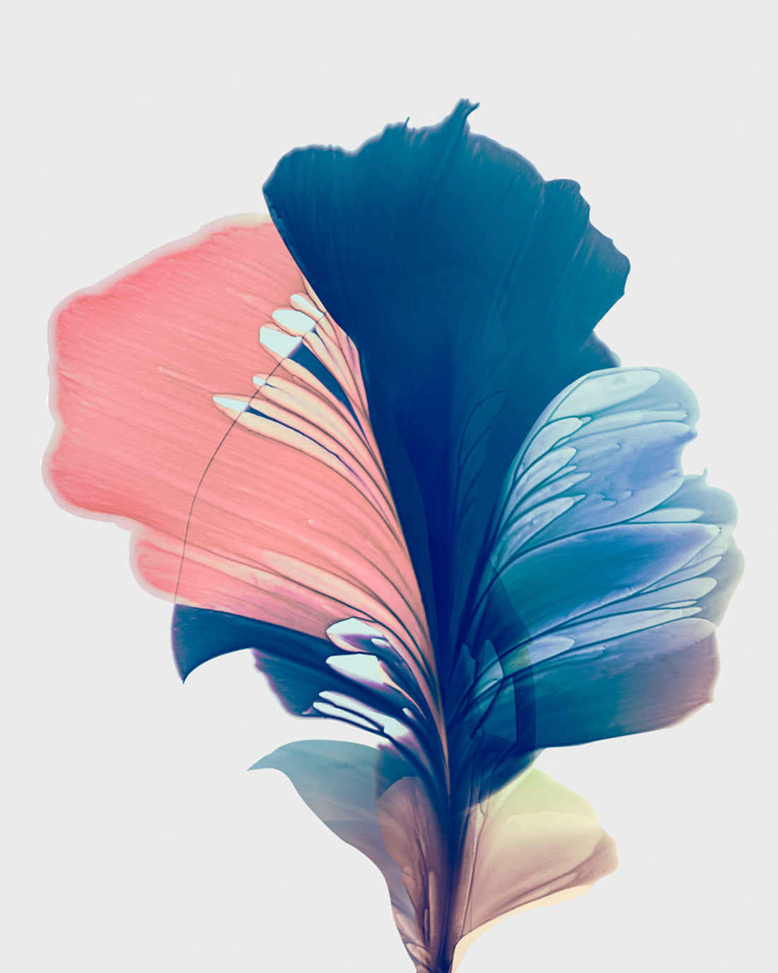 Botanical watercolor large canvas and paper wall art prints, ready to hang floral artwork Abstract Botanical Watercolor Art Print | Mir by Marta Spendowska