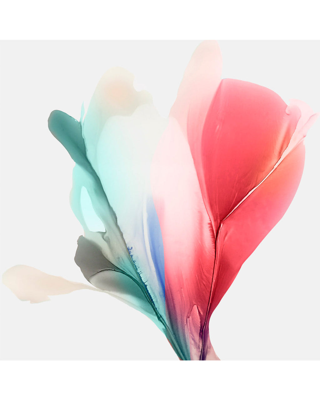 Botanical watercolor large canvas and paper wall art prints, ready to hang floral artwork Abstract Botanical Watercolor Art Print | Bloom 4 by Marta Spendowska