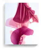 Botanical watercolor large canvas and paper wall art prints, ready to hang floral artwork Abstract Botanical Watercolor Art Print | Pousa by Marta Spendowska