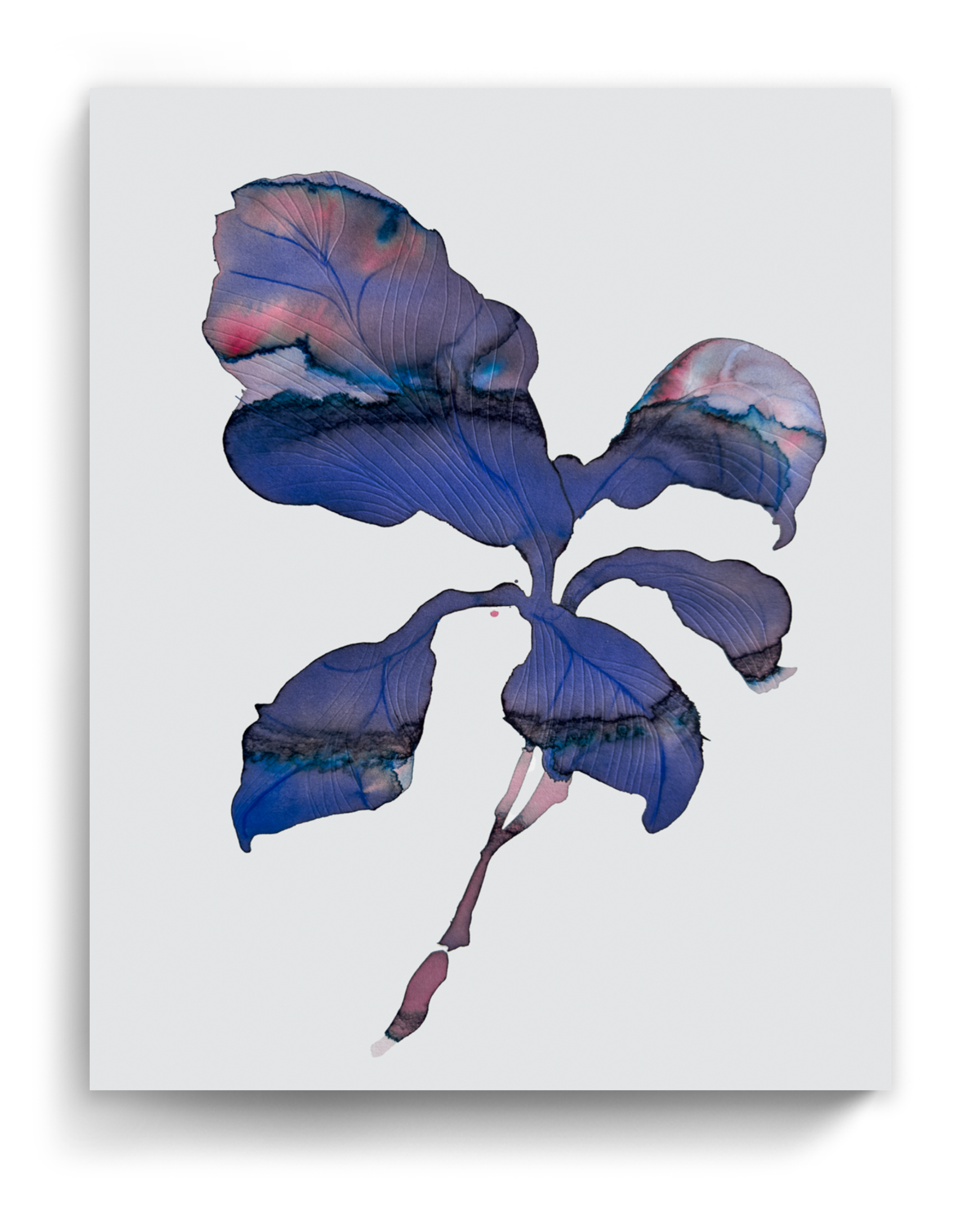 Wall Art Print Canvas Paper  | Orpha 1