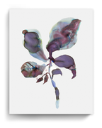 Wall Art Print Canvas Paper  | Orpha 3
