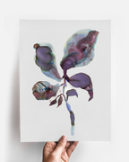 Wall Art Print Canvas Paper  | Orpha 3