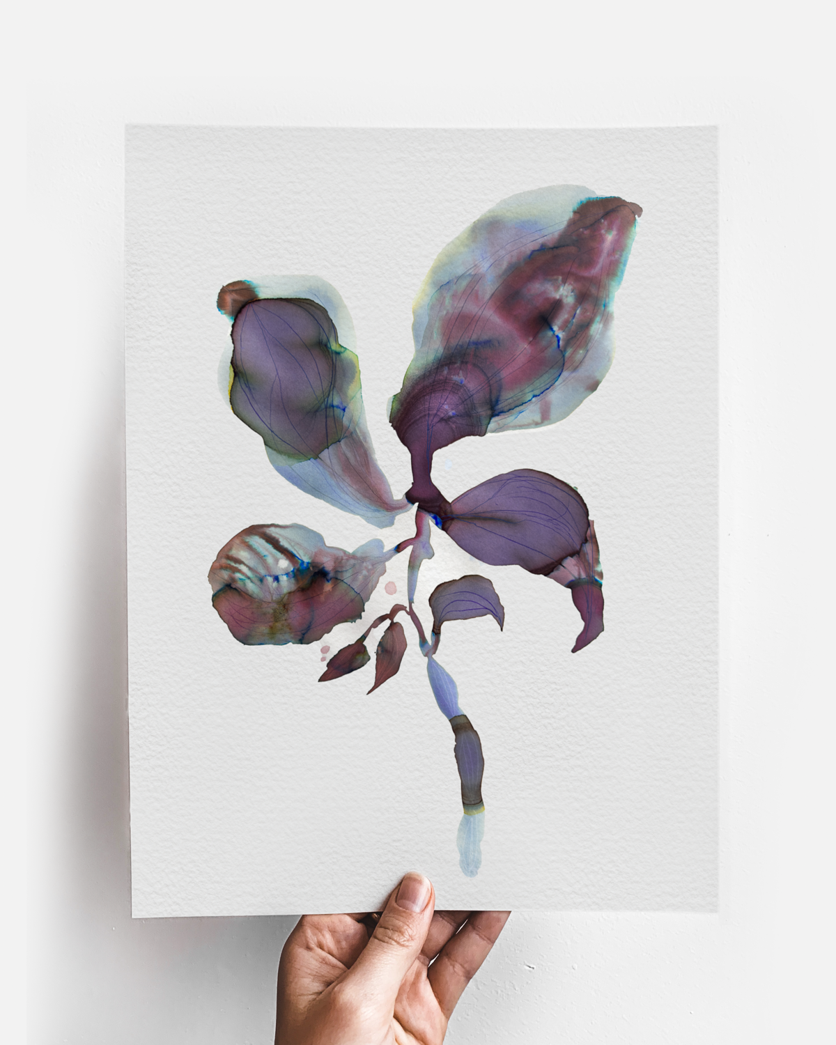 Wall Art Print Canvas Paper  | Orpha 3
