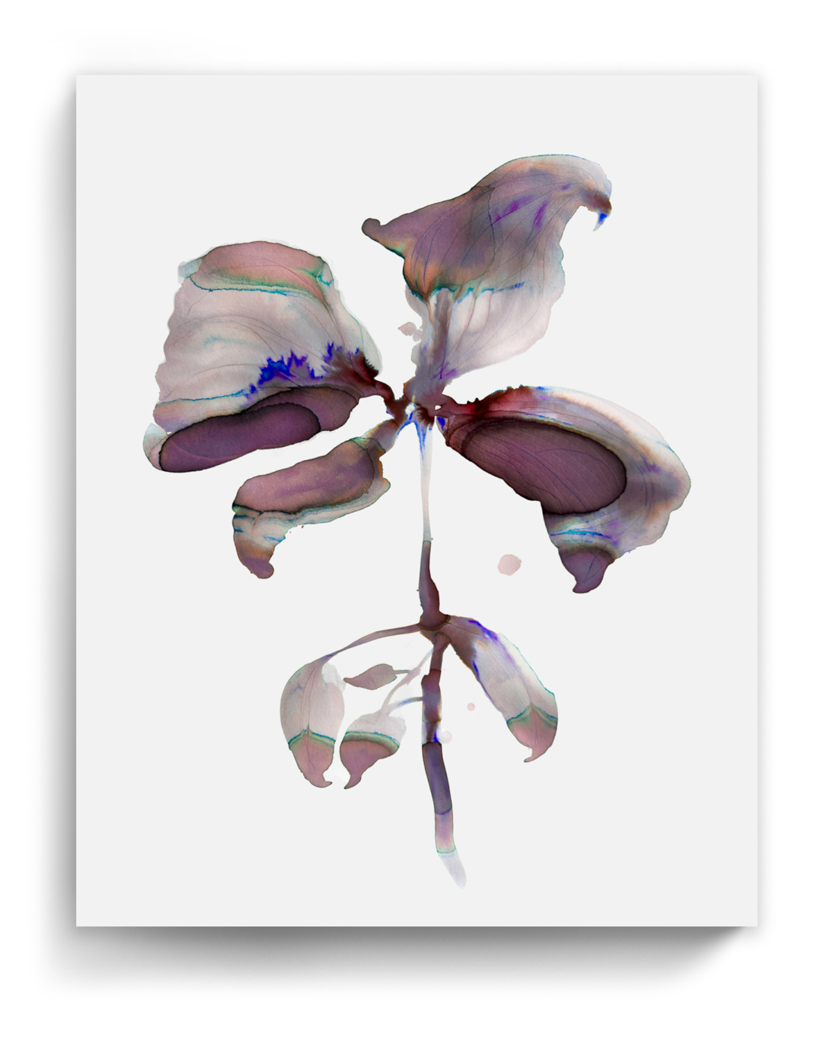 Wall Art Print Canvas Paper  | Orpha 2