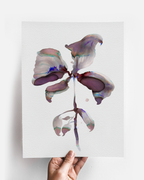 Wall Art Print Canvas Paper  | Orpha 2