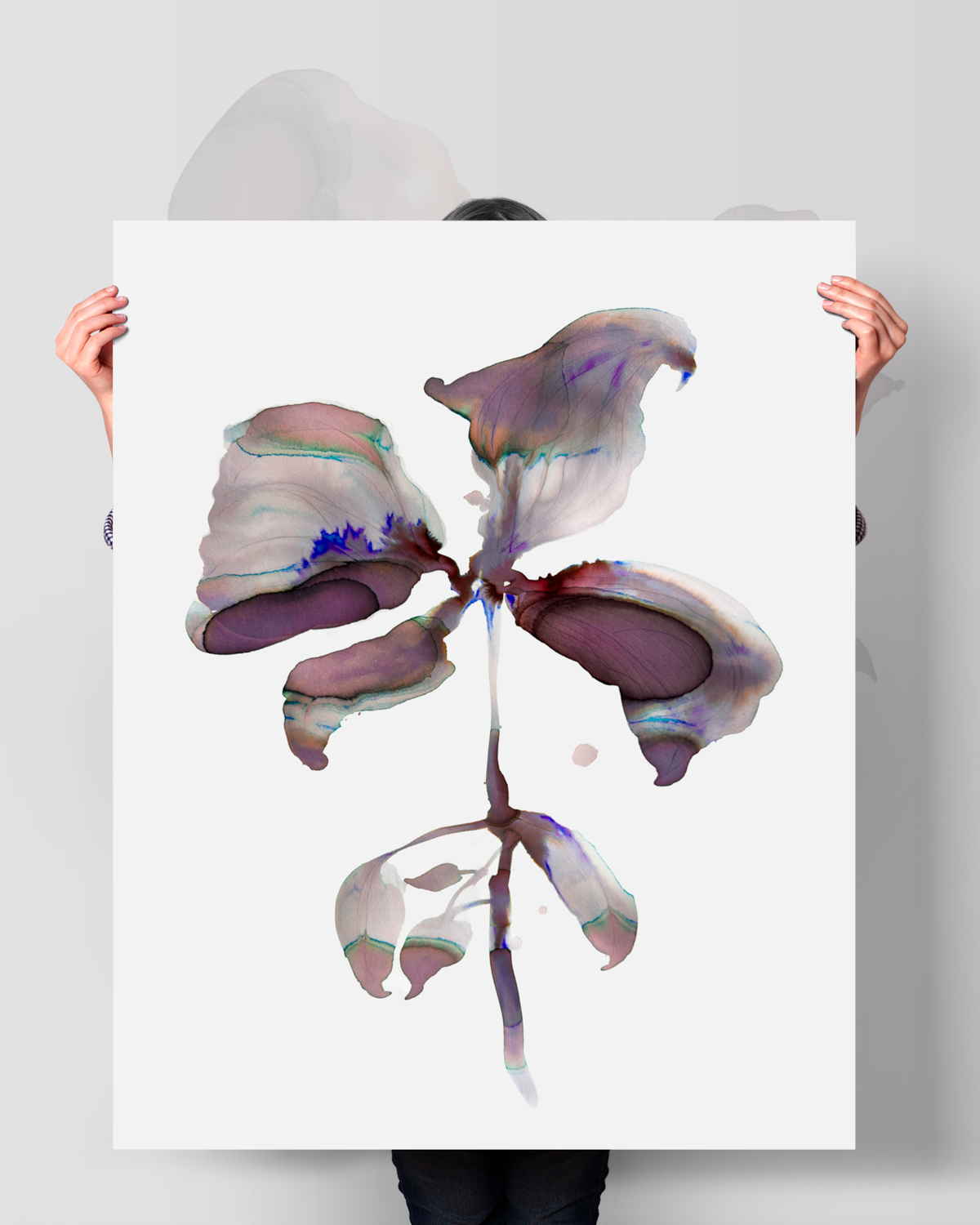 Wall Art Print Canvas Paper  | Orpha 2