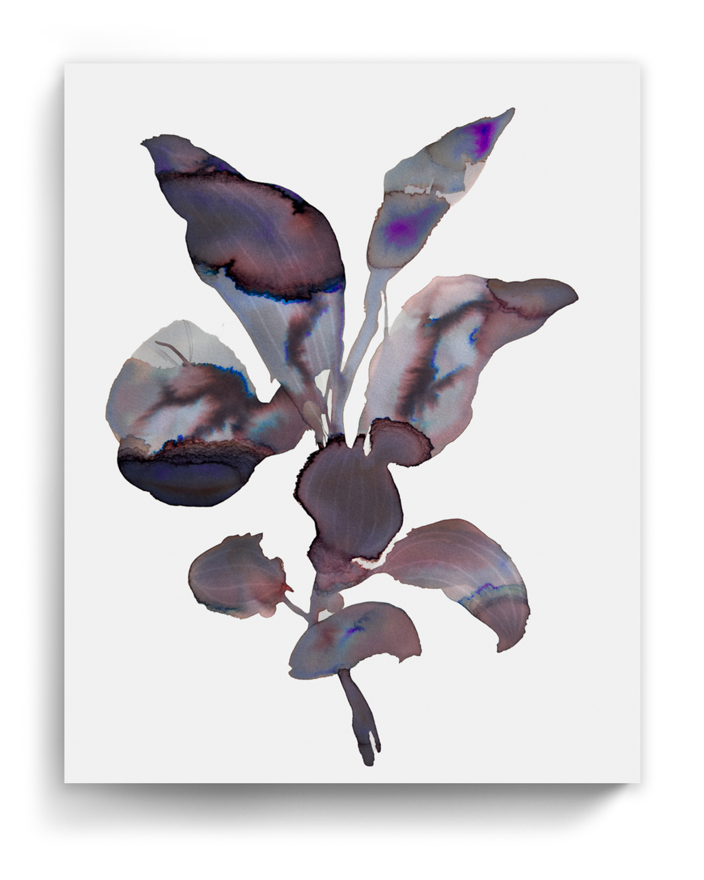 Wall Art Print Canvas Paper  | Orpha 4