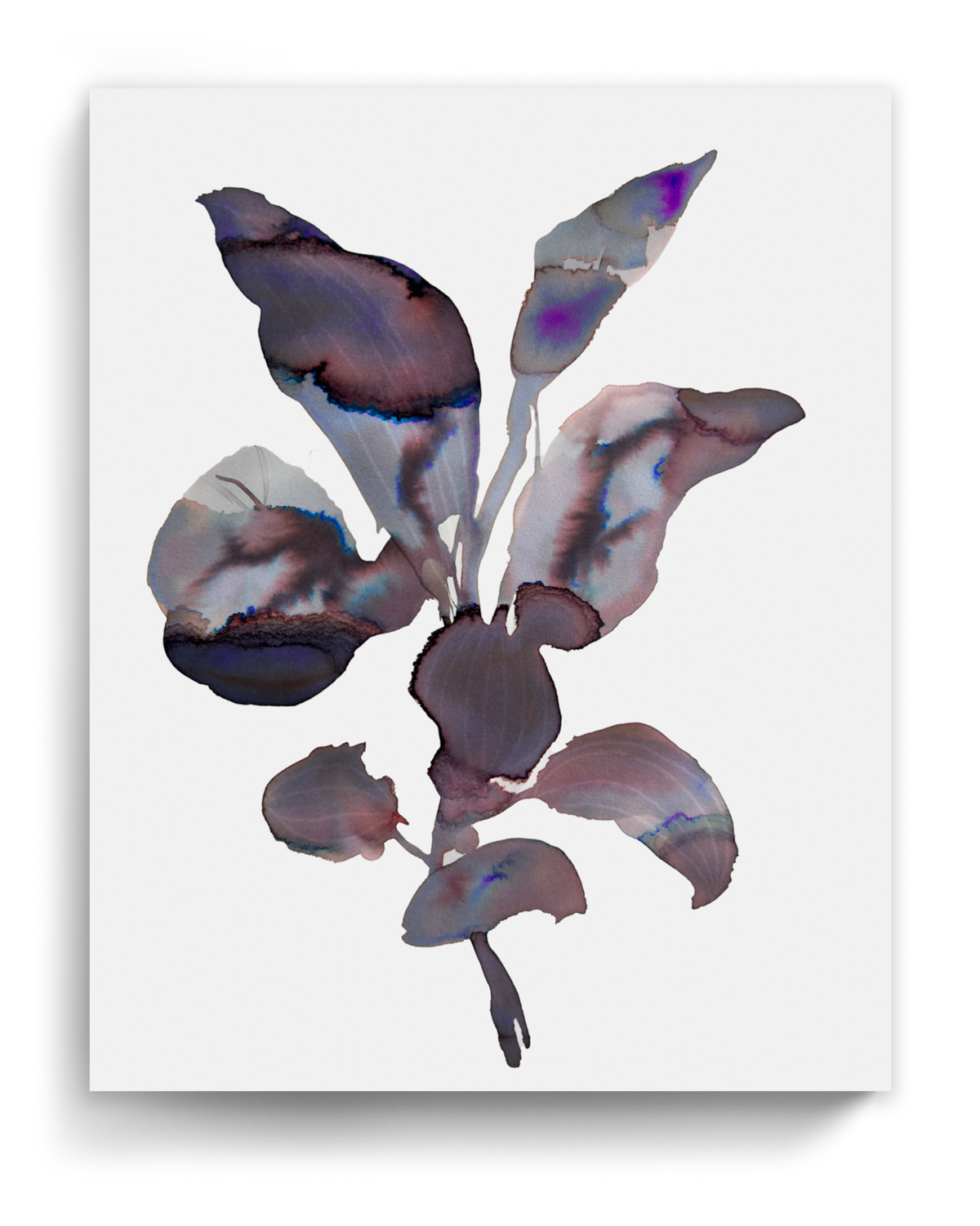 Wall Art Print Canvas Paper  | Orpha 4