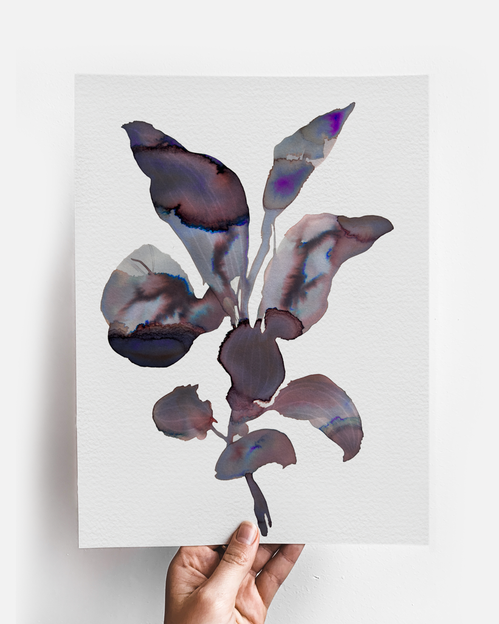 Wall Art Print Canvas Paper  | Orpha 4