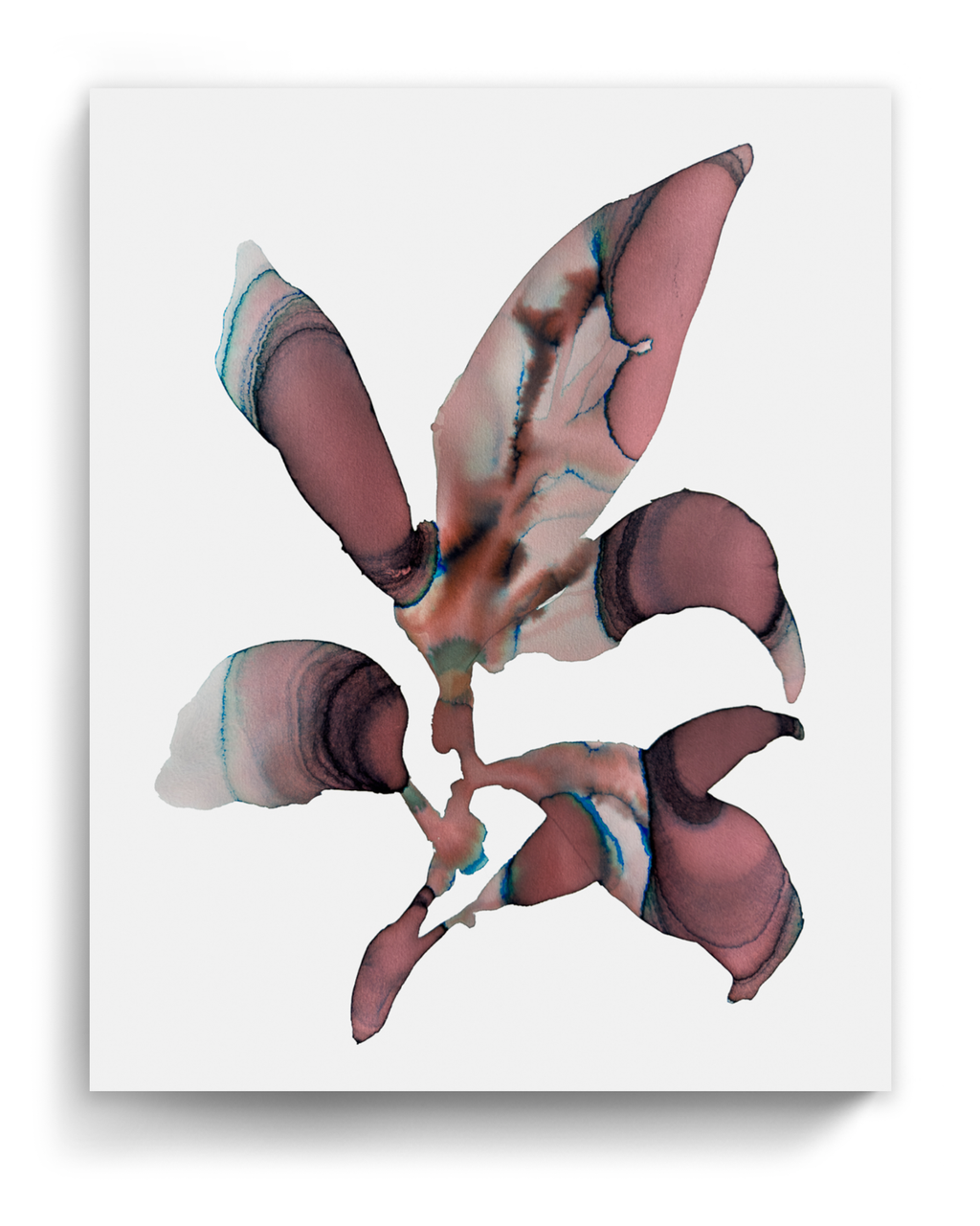 Wall Art Print Canvas Paper  | Orpha 6