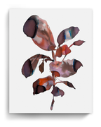 Wall Art Print Canvas Paper  | Orpha 5