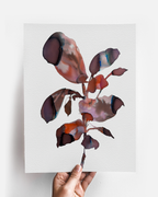 Wall Art Print Canvas Paper  | Orpha 5