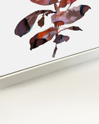 Wall Art Print Canvas Paper  | Orpha 5