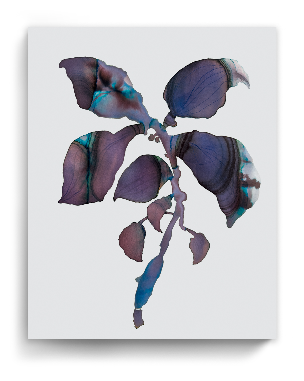 Wall Art Print Canvas Paper  | Orpha 7