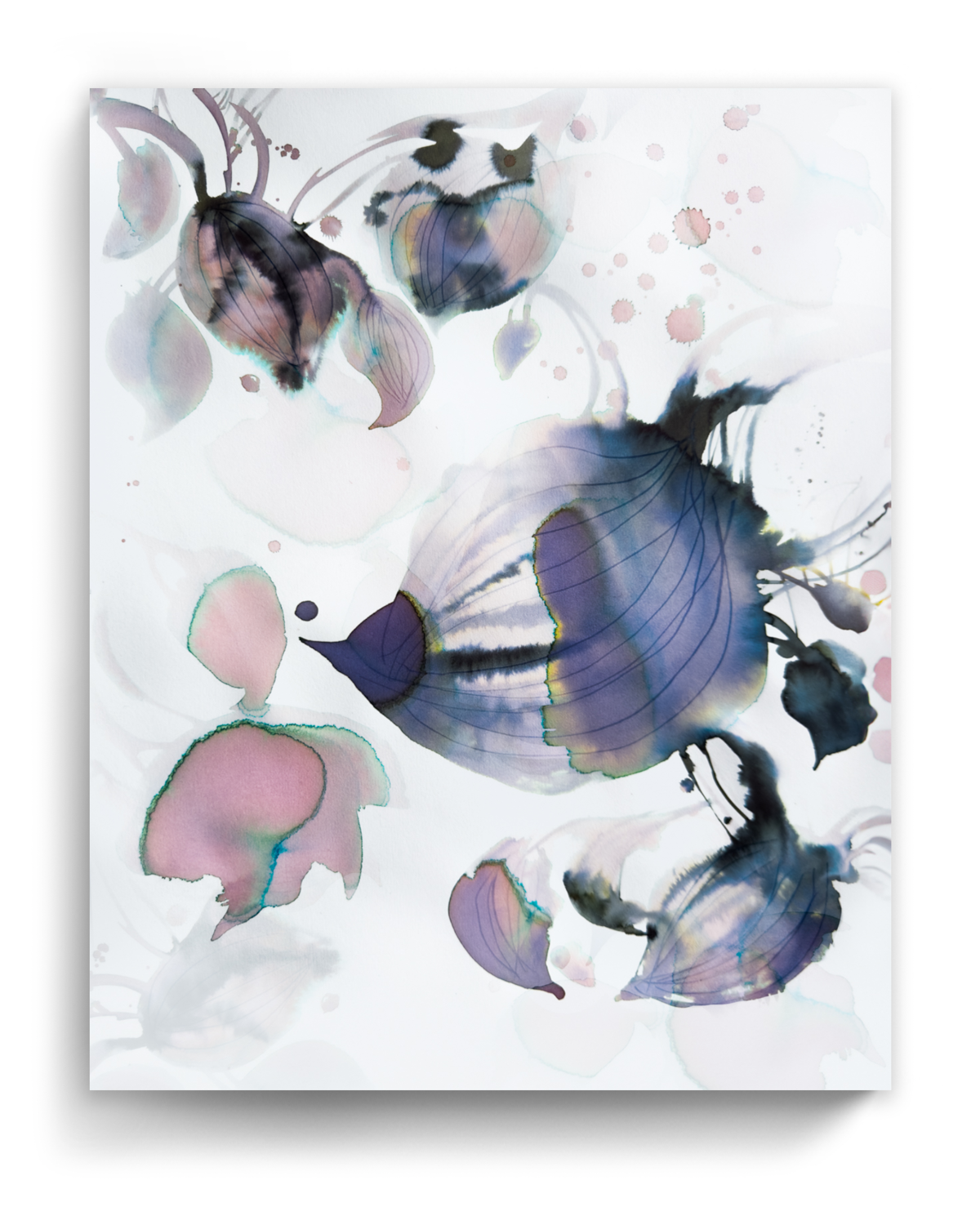 Wall Art Print Canvas Paper  | Sokka