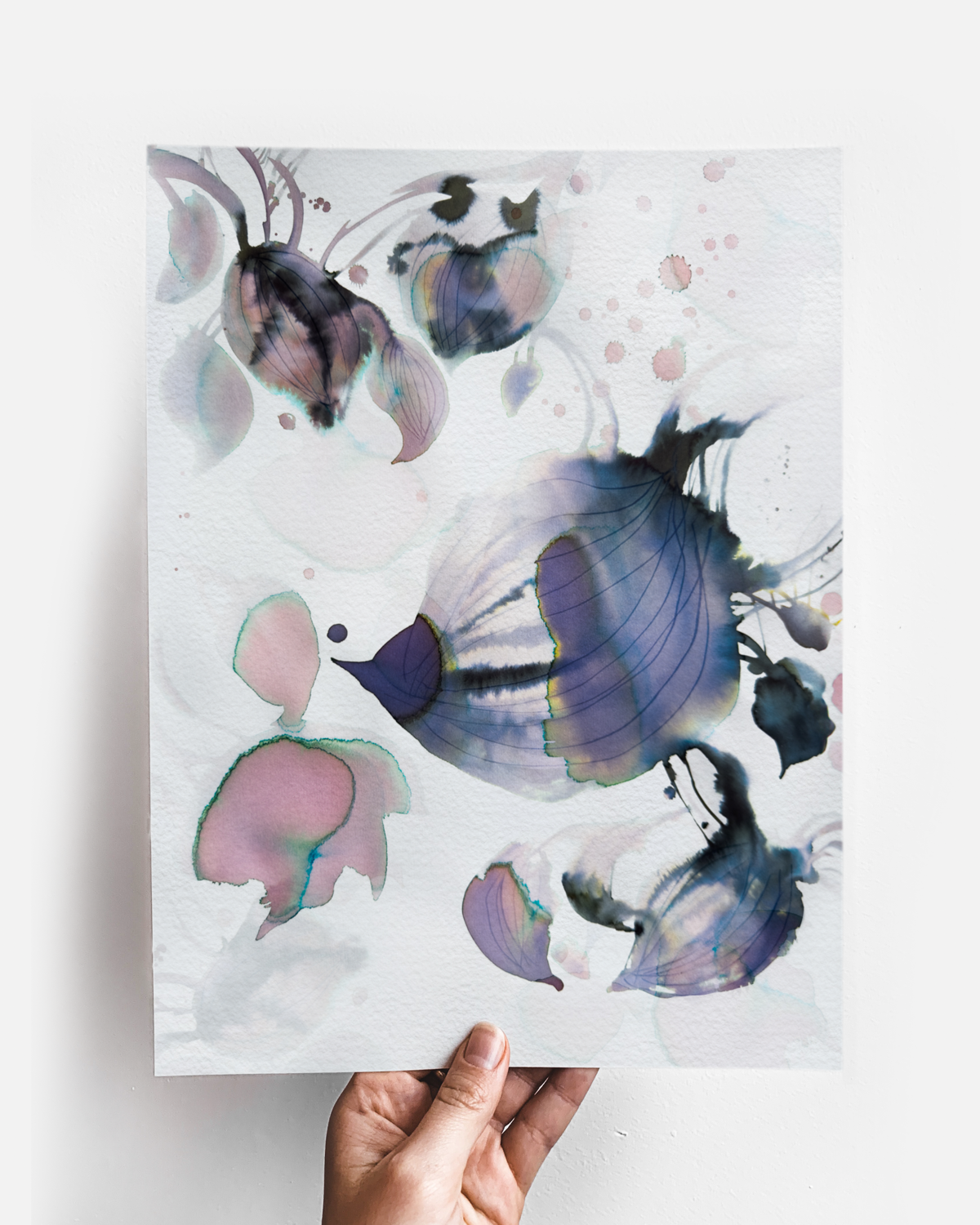 Wall Art Print Canvas Paper  | Sokka