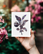 Greeting Card Botanical 3