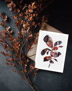 Greeting Card Botanical 4