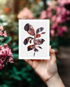 Greeting Card Botanical 4