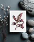 Greeting Card Botanical 6