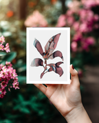 Greeting Card Botanical 6