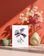 Greeting Card Botanical 7