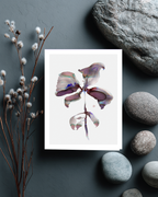 Greeting Card Botanical 7