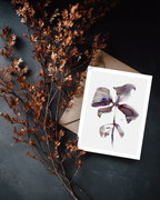 Greeting Card Botanical 7