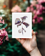 Greeting Card Botanical 7