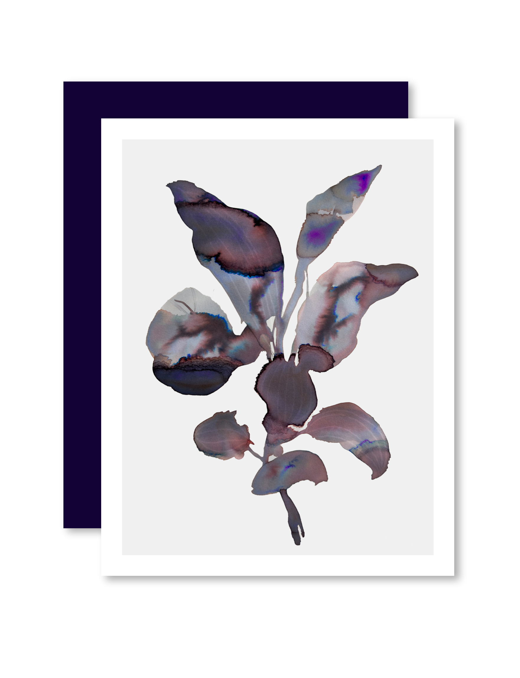 Greeting Card Botanical 3