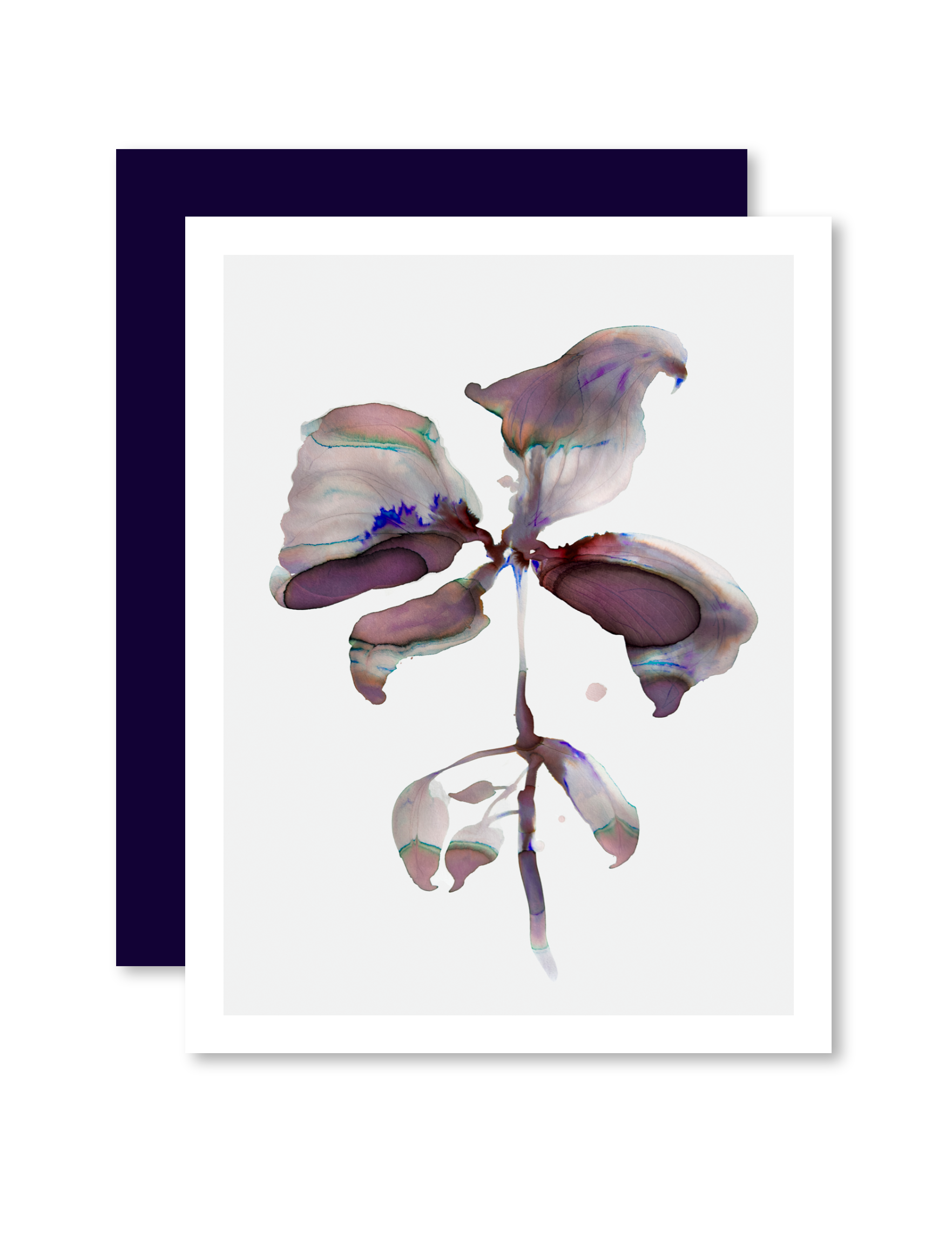 Greeting Card Botanical 7