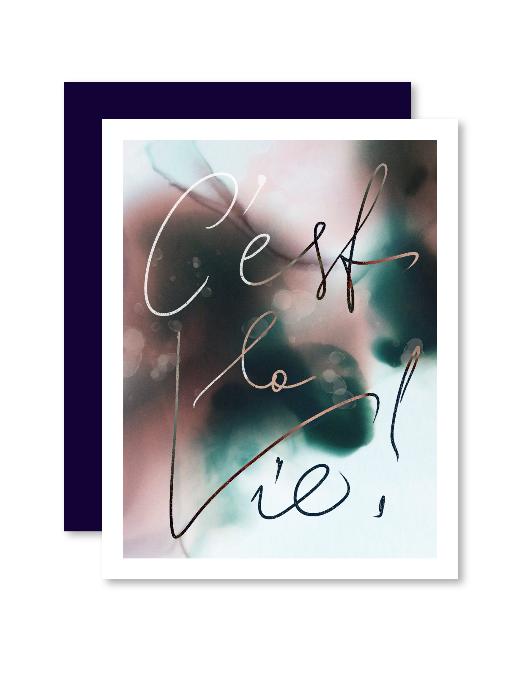 Greeting Card C'est La Vie
