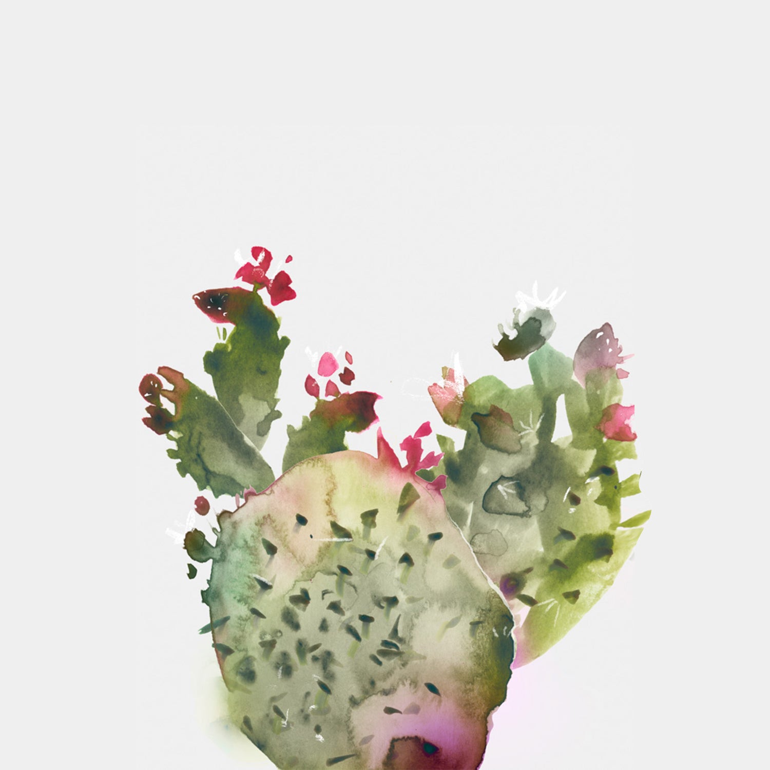 Watercolor illustration, watercolor painting cacti succulent illustration by Marta Spendowska
