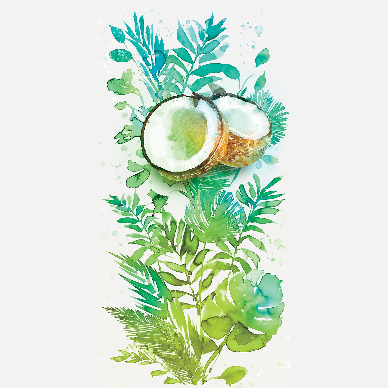 Watercolor illustration, watercolor painting veggies beet food coconut illustration by Marta Spendowska