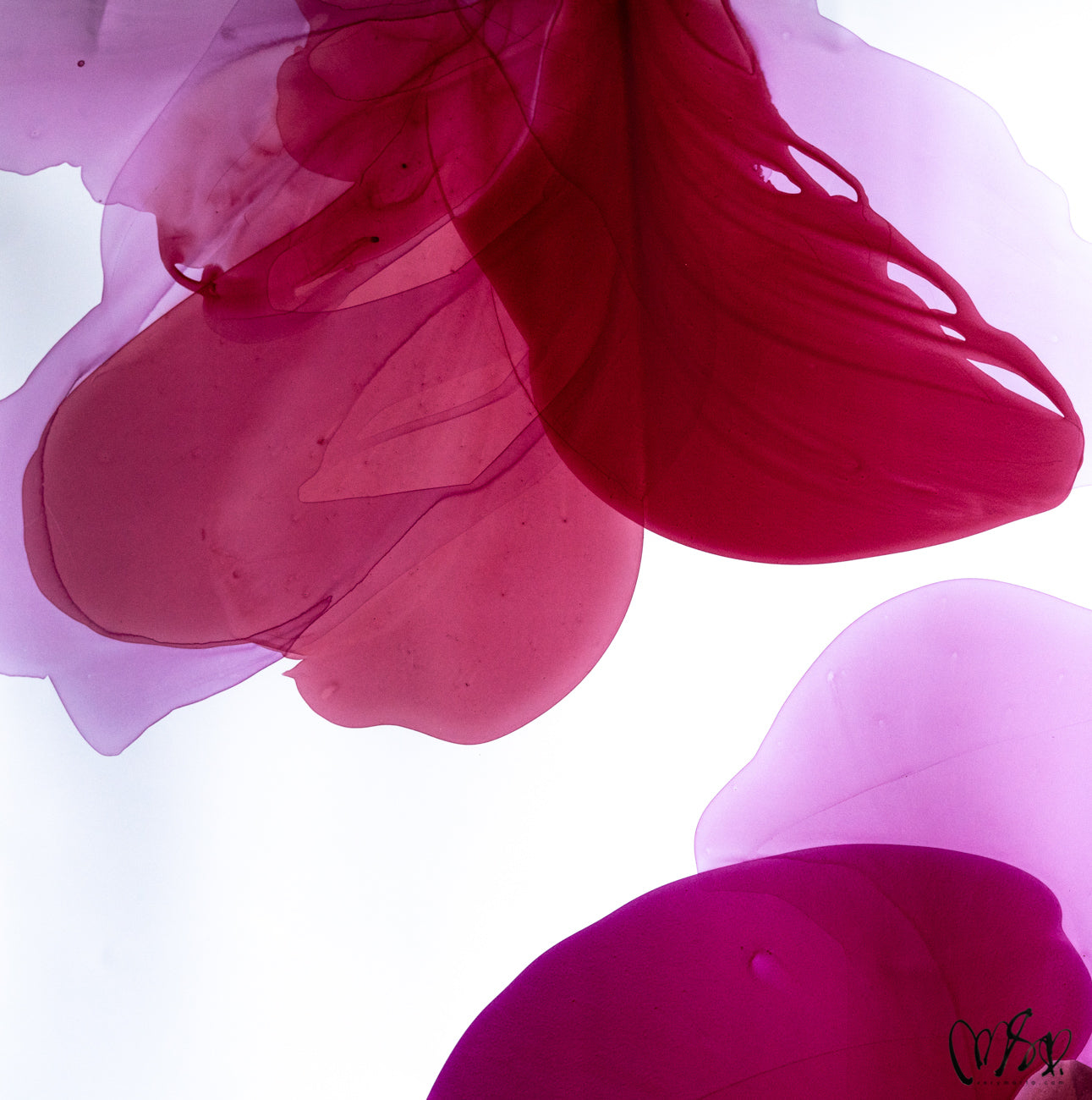 Modern Fine Art for Home Decor Abstract Watercolor Painting Eonia by Marta Spendowska