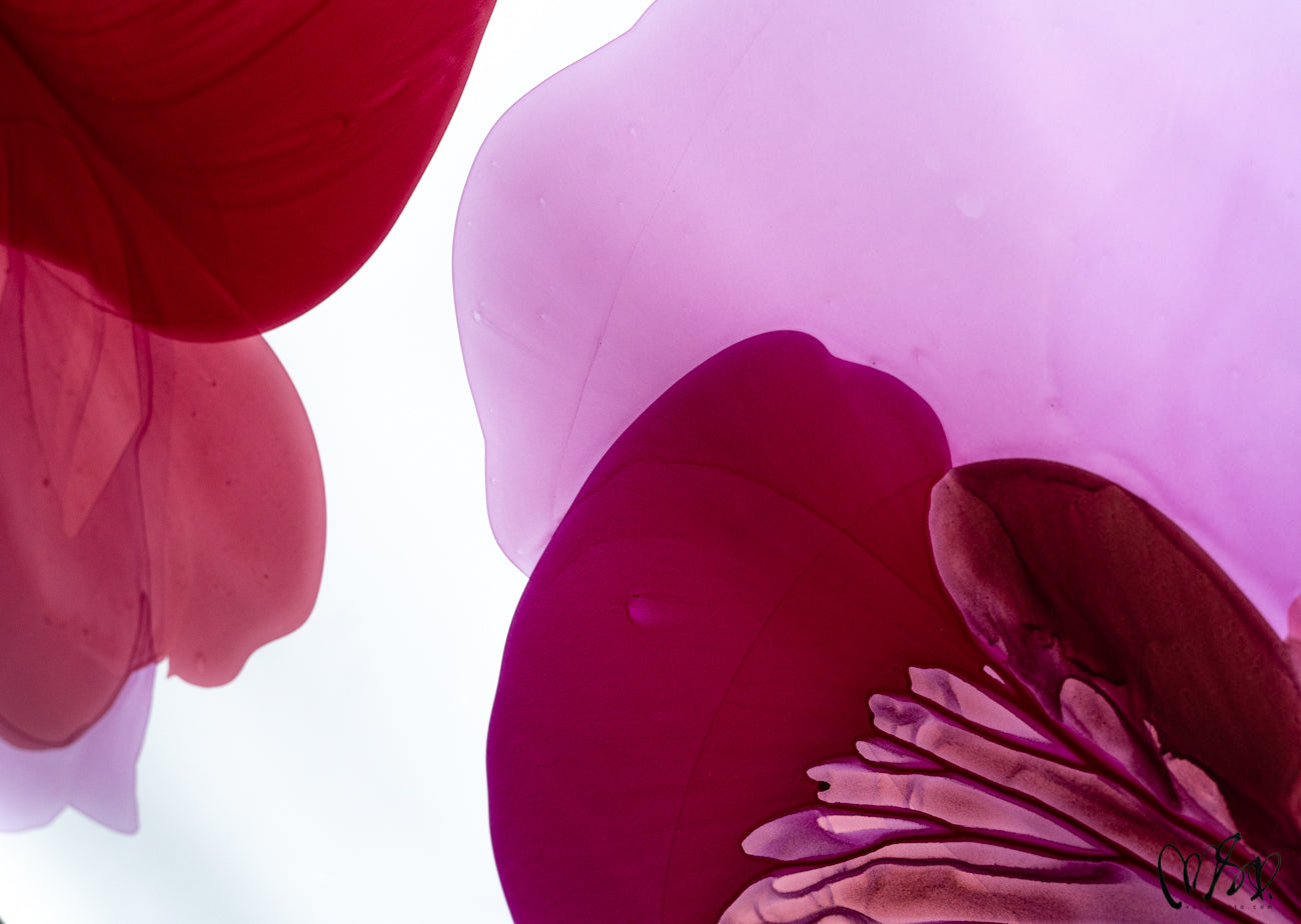 Modern Fine Art for Home Decor Abstract Watercolor Painting Eonia by Marta Spendowska