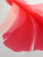 Modern Fine Art for Home Decor Abstract Watercolor Painting Kref 42x42" by Marta Spendowska