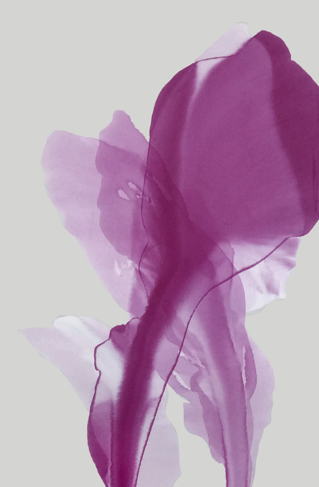 Modern Fine Art for Home Decor Abstract Watercolor Painting Smitten by flower' blushing 36x24" by Marta Spendowska