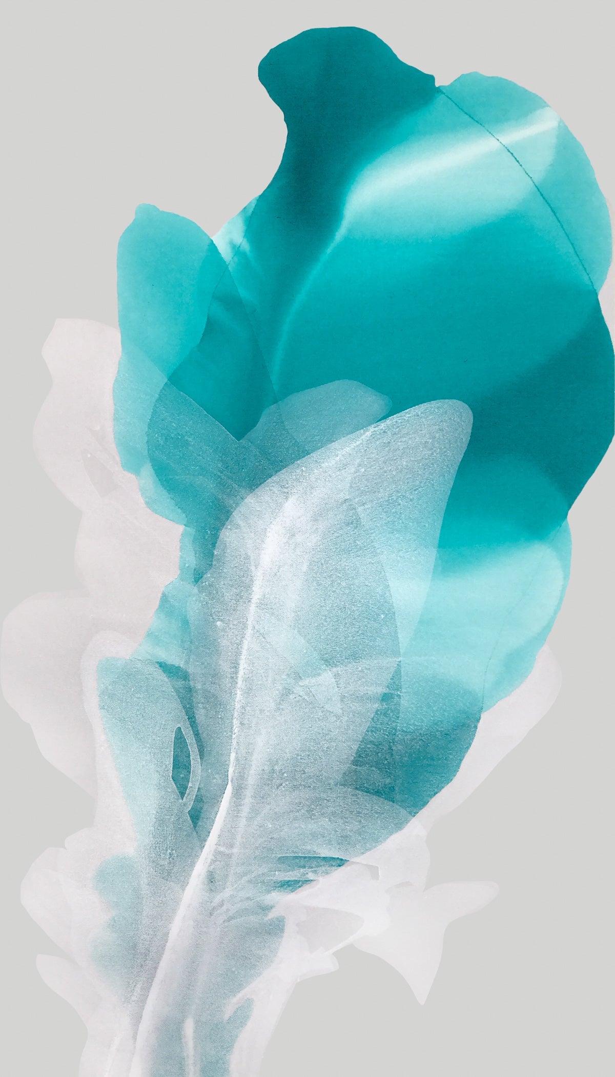 Modern Fine Art for Home Decor Abstract Watercolor Painting White petals 40x23" by Marta Spendowska