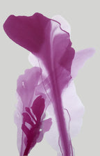 Modern Fine Art for Home Decor Abstract Watercolor Painting Why don't we blow a kiss 36x24" by Marta Spendowska